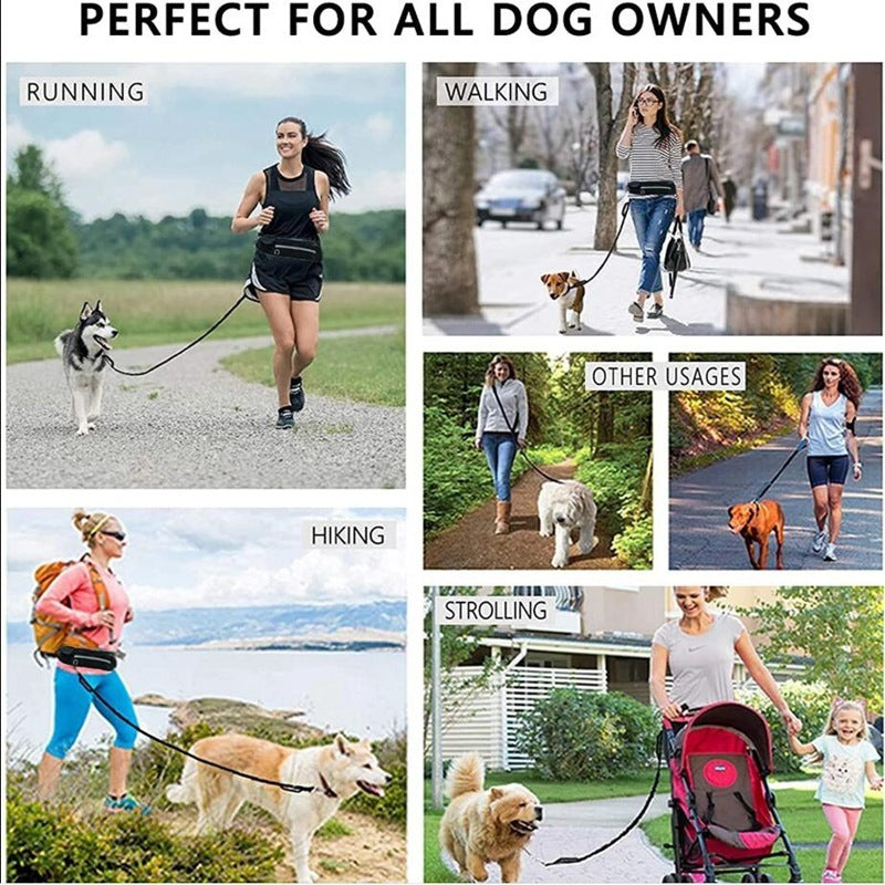 Pet Walking And Training Belt With Shock Absorbing Bungee Leash