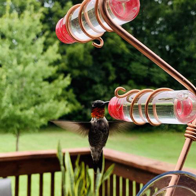 Garden Bird Feeder Supplies Hummingbird Feeder Drinker Suction Cup Easy To Clean Deck Garden Decor Bird Feeders for Wild Birds