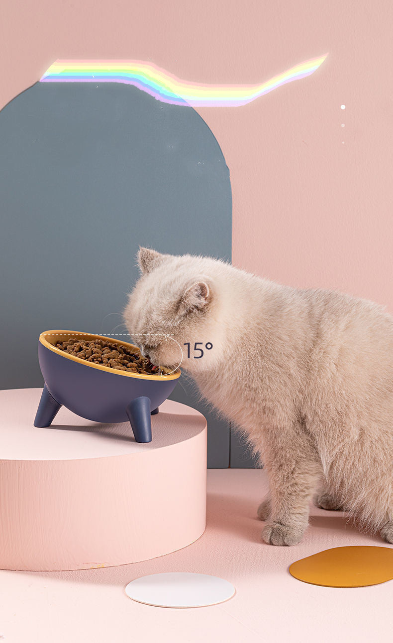 Pet Bowl With Stand Pet Feeding Food Bowls