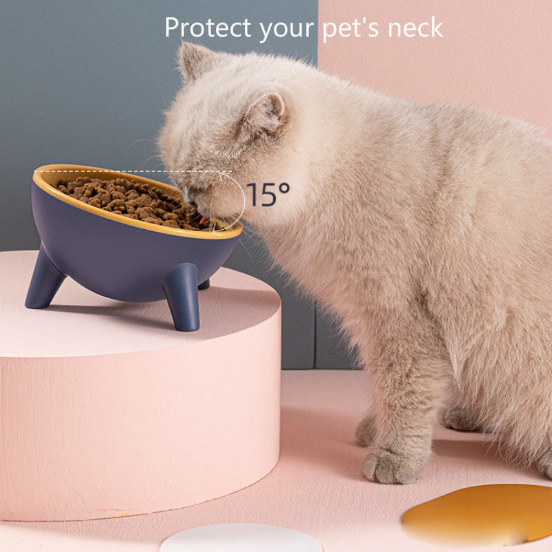 Pet Bowl With Stand Pet Feeding Food Bowls