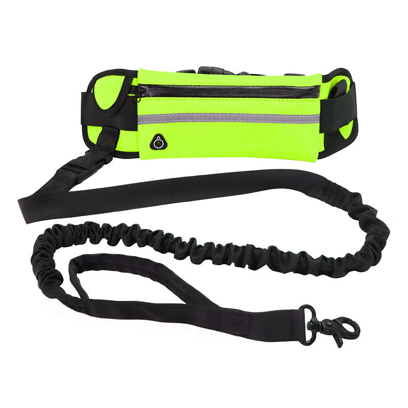 Pet Walking And Training Belt With Shock Absorbing Bungee Leash