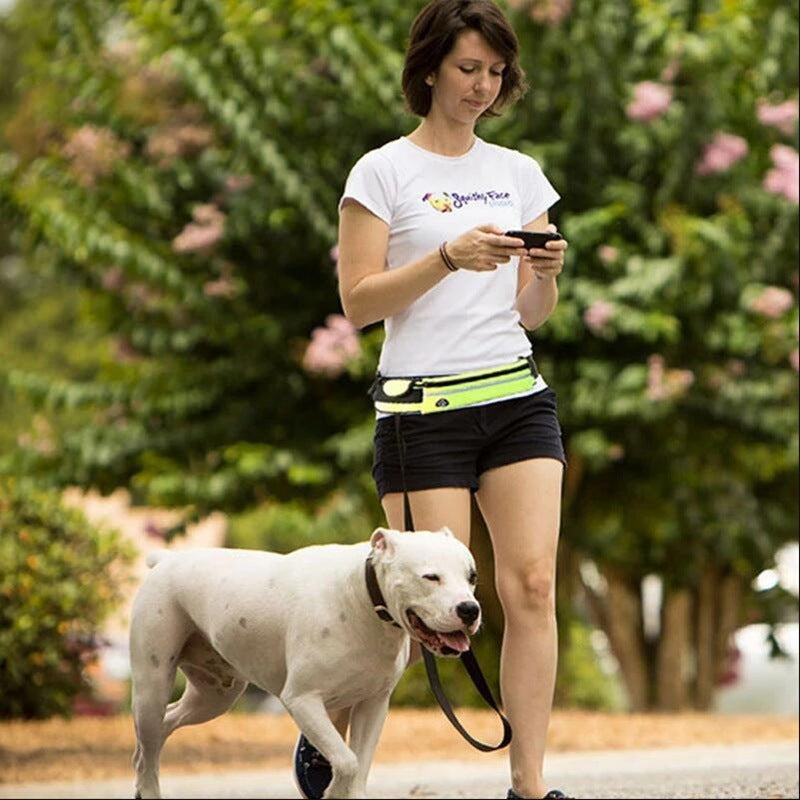 Pet Walking And Training Belt With Shock Absorbing Bungee Leash