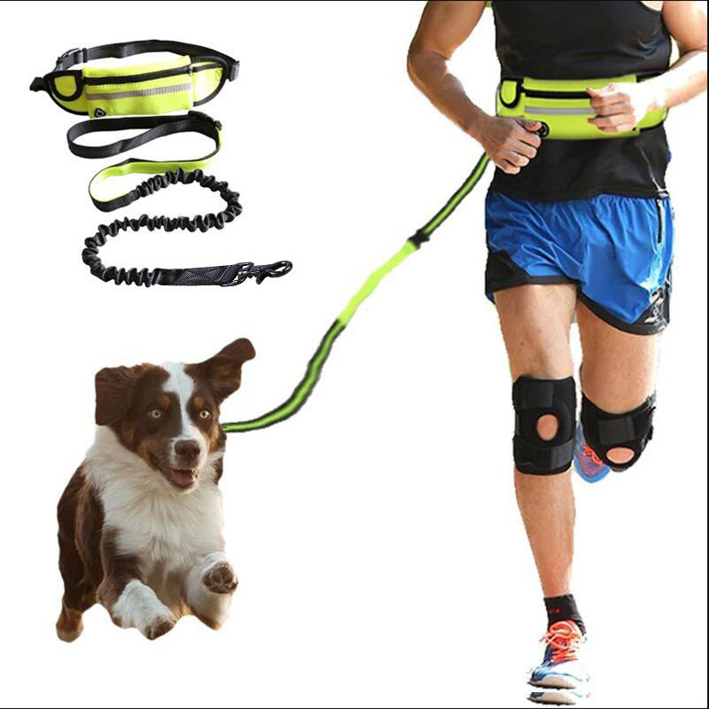 Pet Walking And Training Belt With Shock Absorbing Bungee Leash