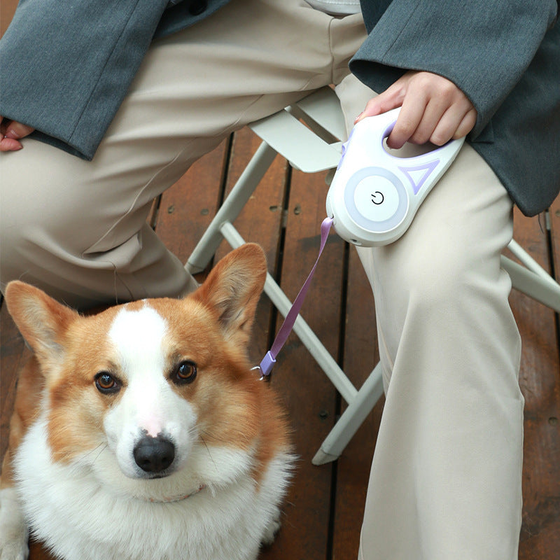 Dog Leash Retractable Leash And Dog Collar