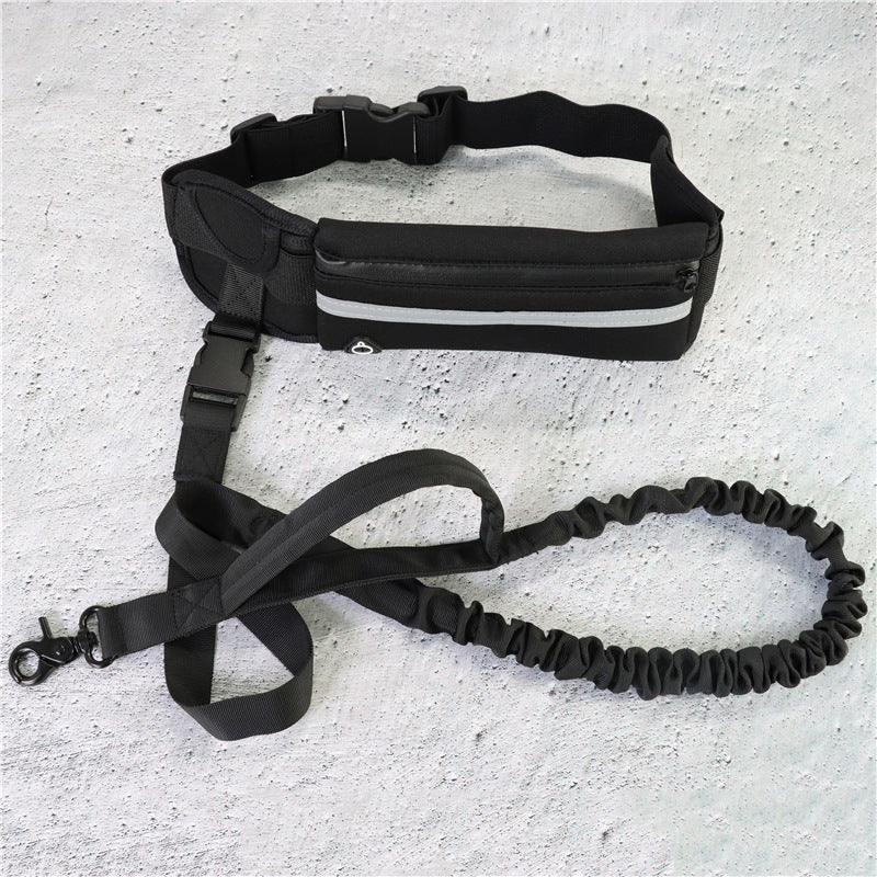 Pet Walking And Training Belt With Shock Absorbing Bungee Leash