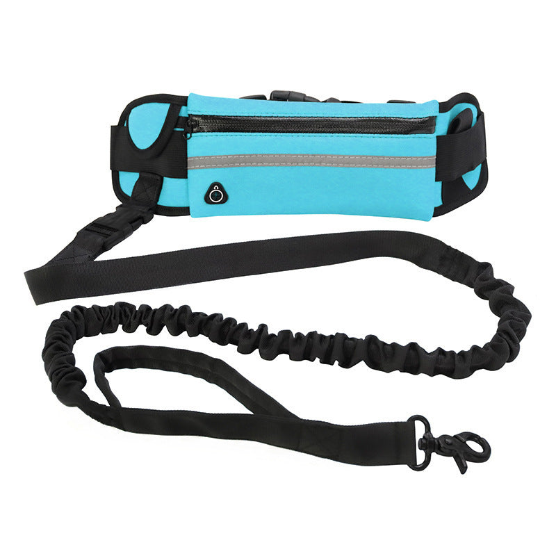 Pet Walking And Training Belt With Shock Absorbing Bungee Leash