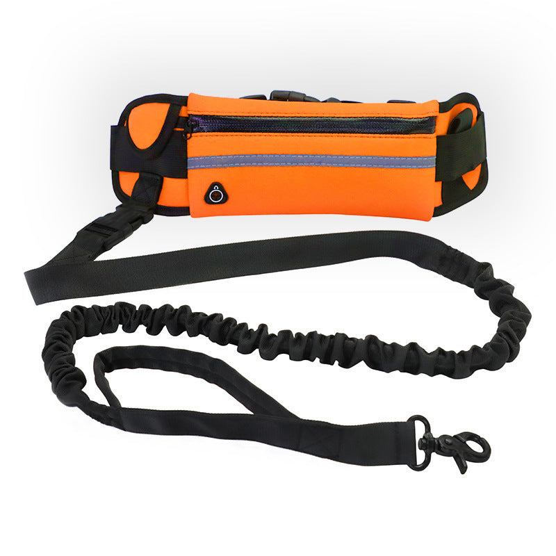 Pet Walking And Training Belt With Shock Absorbing Bungee Leash