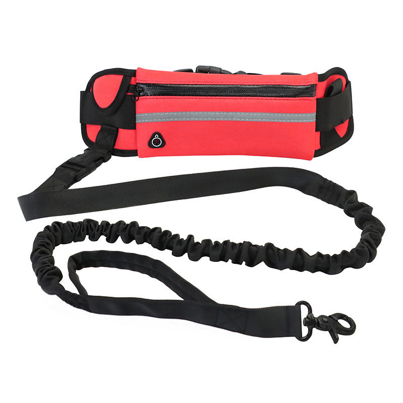 Pet Walking And Training Belt With Shock Absorbing Bungee Leash